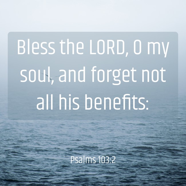 Bless the LORD, O my soul, and forget not all his benefits: - Psalms 103:2