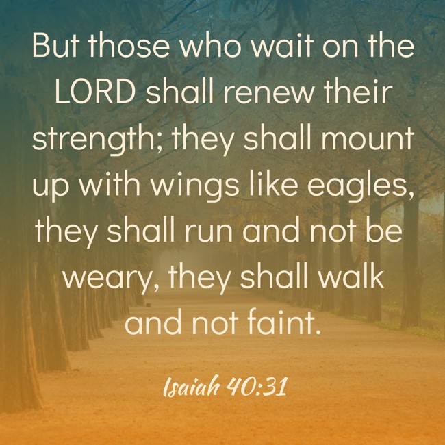 But those who wait on the LORD shall renew their strength; they shall mount up with wings like eagles, they shall run and not be weary, they shall walk and not faint. - Isaiah 40:31