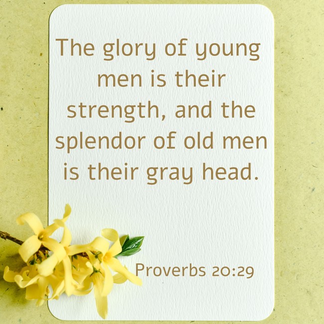 The glory of young men is their strength, and the splendor of old men is their gray head. - Proverbs 20:29