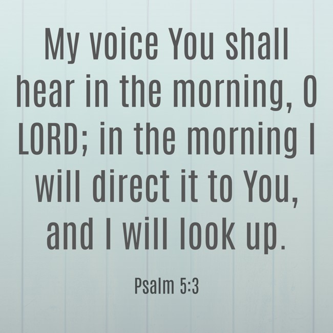 My voice You shall hear in the morning, O LORD; in the morning I will direct it to You, and I will look up. - Psalm 5:3
