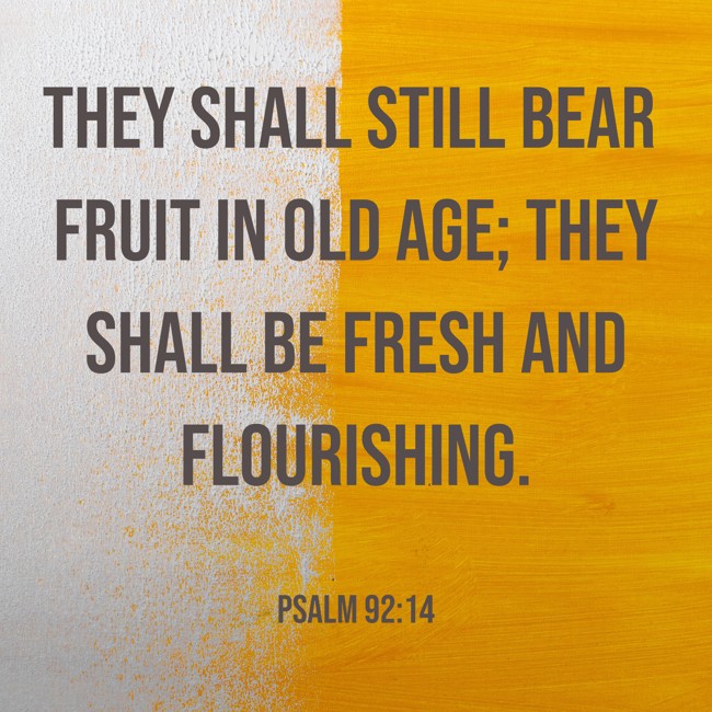  They shall still bear fruit in old age; they shall be fresh and flourishing.   - Psalm 92:14 