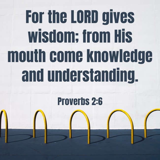 For the LORD gives wisdom; from His mouth come knowledge and understanding. - Proverbs 2:6