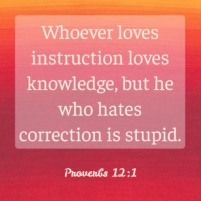 Whoever loves instruction loves knowledge, but he who hates correction is stupid. - Proverbs 12:1