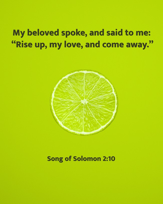 My beloved spoke, and said to me: “Rise up, my love, and come away.” - Song of Solomon 2:10