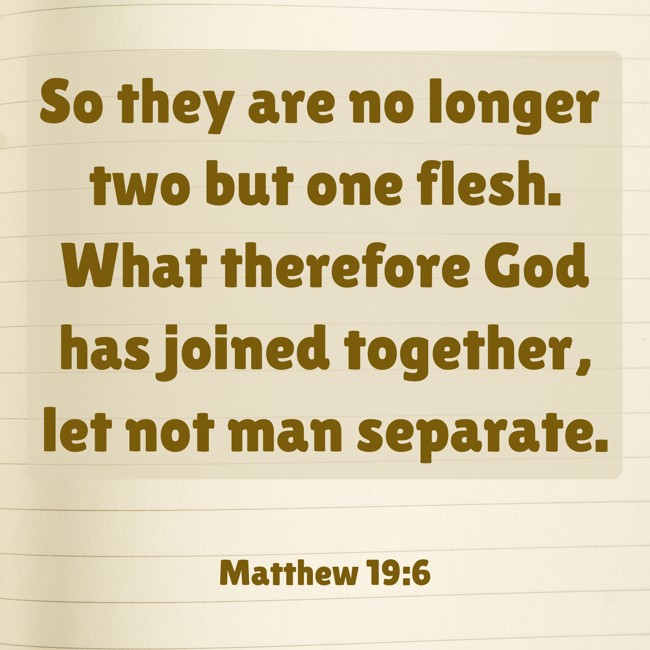 So they are no longer two but one flesh. What therefore God has joined together, let not man separate. - Matthew 19:6