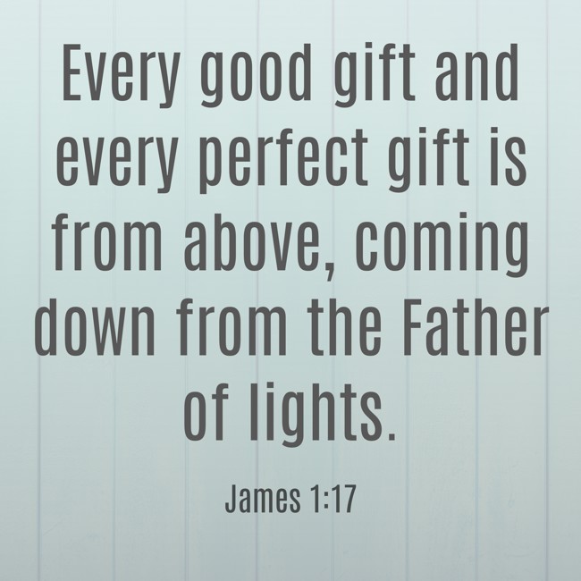 Every good gift and every perfect gift is from above, coming down from the Father of lights. - James 1:17