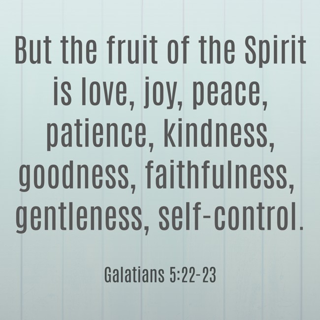 But the fruit of the Spirit is love, joy, peace, patience, kindness, goodness, faithfulness, gentleness, self-control. - Galatians 5:22-23
