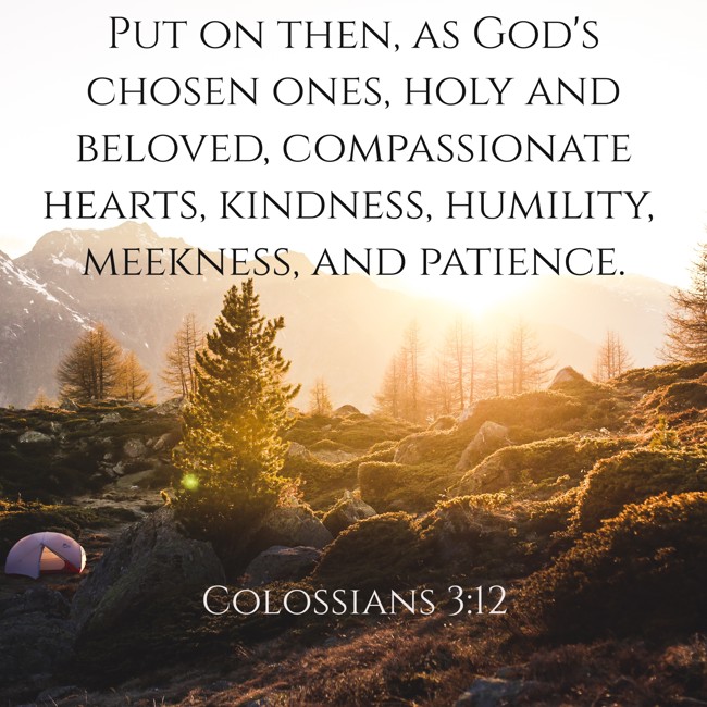 Put on then, as God's chosen ones, holy and beloved, compassionate hearts, kindness, humility, meekness, and patience. - Colossians 3:12