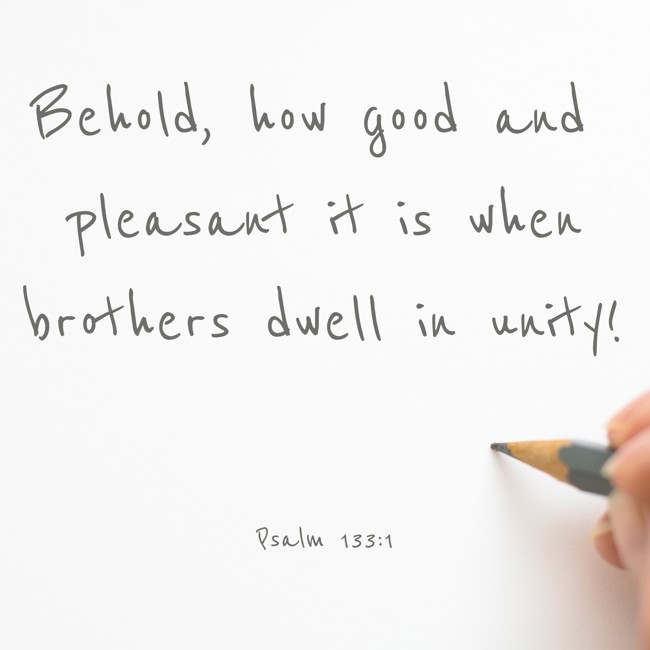 Behold, how good and pleasant it is when brothers dwell in unity! - Psalm 133:1
