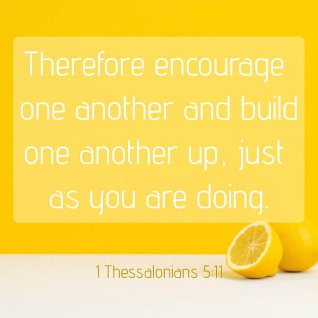 Therefore encourage one another and build one another up, just as you are doing. - 1 Thessalonians 5:11