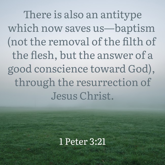 There is also an antitype which now saves us—baptism (not the removal of the filth of the flesh, but the answer of a good conscience toward God), through the resurrection of Jesus Christ. - 1 Peter 3:21