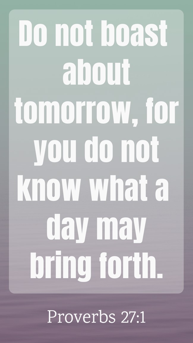 Do not boast about tomorrow, for you do not know what a day may bring forth. - Proverbs 27:1