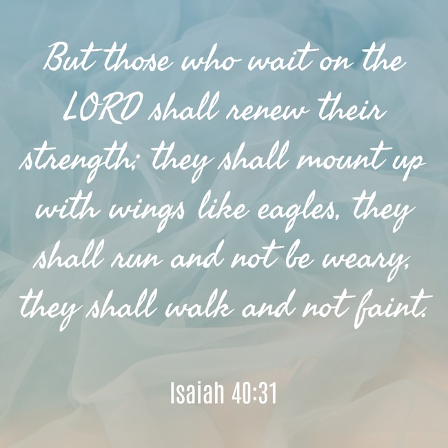But those who wait on the LORD shall renew their strength; they shall mount up with wings like eagles, they shall run and not be weary, they shall walk and not faint. - Isaiah 40:31