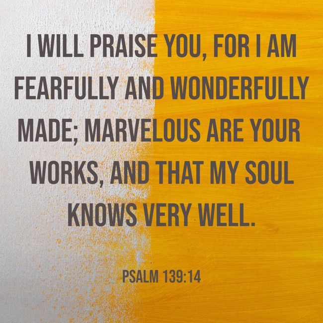 I will praise You, for I am fearfully and wonderfully made; marvelous are Your works, and that my soul knows very well. - Psalm 139:14