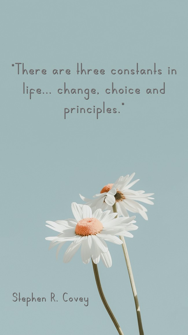 There are three constants in life... change, choice and principles. - Stephen R. Covey