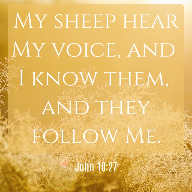 My sheep hear My voice, and I know them, and they follow Me. - John 10:27