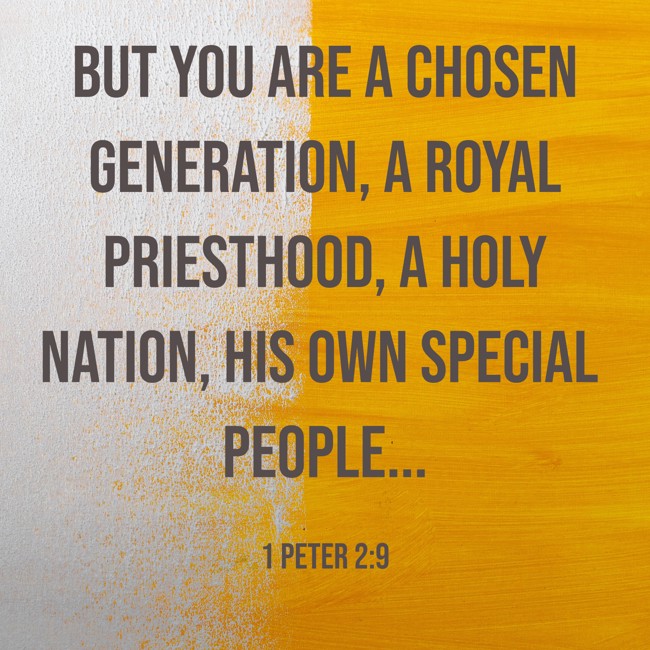 But you are a chosen generation, a royal priesthood, a holy nation, His own special people... - 1 Peter 2:9