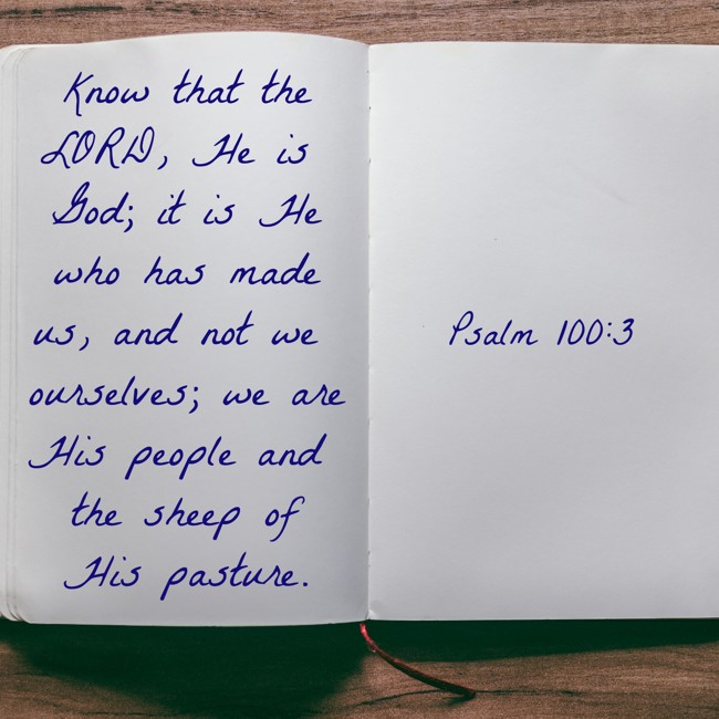 Know that the LORD, He is God; it is He who has made us, and not we ourselves; we are His people and the sheep of His pasture. - Psalm 100:3