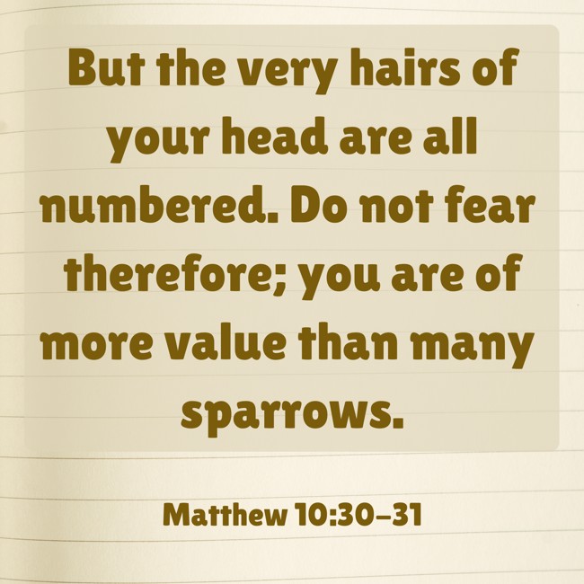 But the very hairs of your head are all numbered. Do not fear therefore; you are of more value than many sparrows. - Matthew 10:30-31