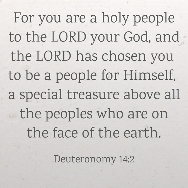 For you are a holy people to the LORD your God, and the LORD has chosen you to be a people for Himself, a special treasure above all the peoples who are on the face of the earth. - Deuteronomy 14:2
