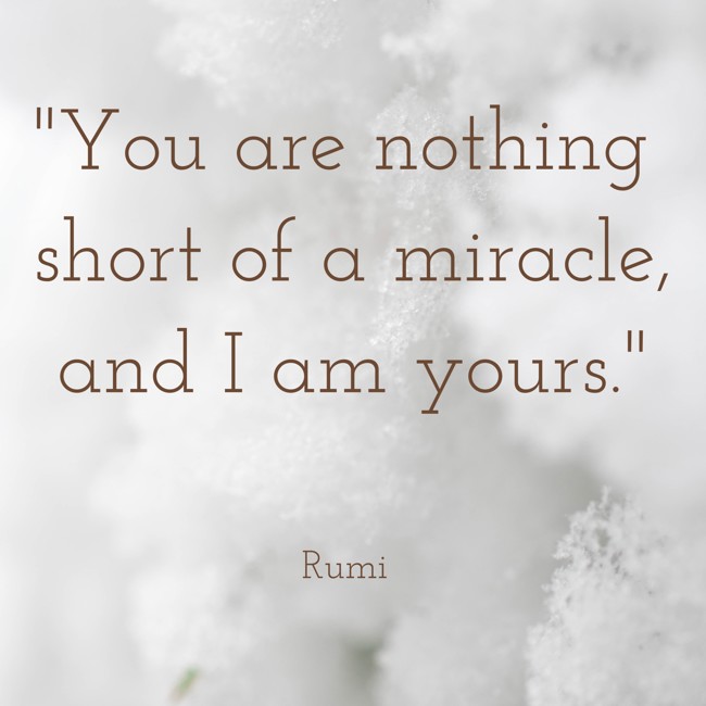 You are nothing short of a miracle, and I am yours. - Rumi
