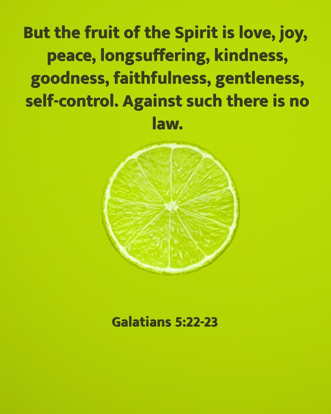 But the fruit of the Spirit is love, joy, peace, longsuffering, kindness, goodness, faithfulness, gentleness, self-control. Against such there is no law. - Galatians 5:22-23