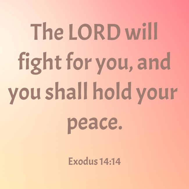 The LORD will fight for you, and you shall hold your peace. - Exodus 14:14