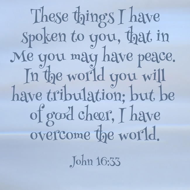 These things I have spoken to you, that in Me you may have peace. In the world you will have tribulation; but be of good cheer, I have overcome the world. - John 16:33