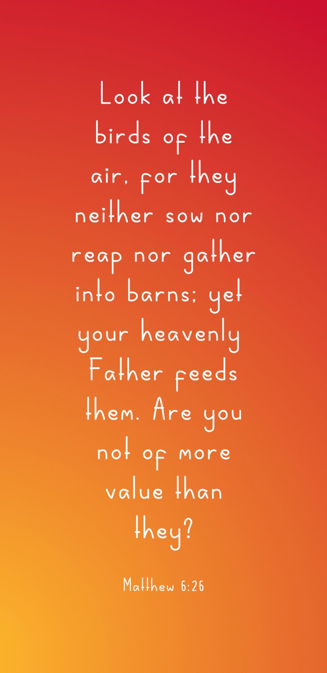  Look at the birds of the air, for they neither sow nor reap nor gather into barns; yet your heavenly Father feeds them. Are you not of more value than they?   - Matthew 6:26 