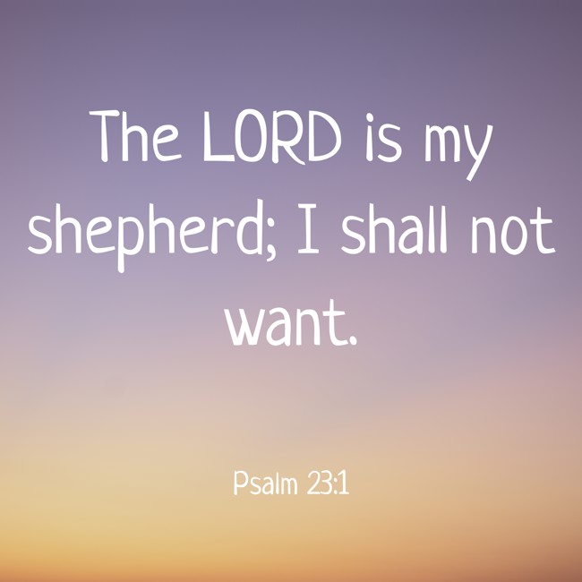  The LORD is my shepherd; I shall not want.   - Psalm 23:1 