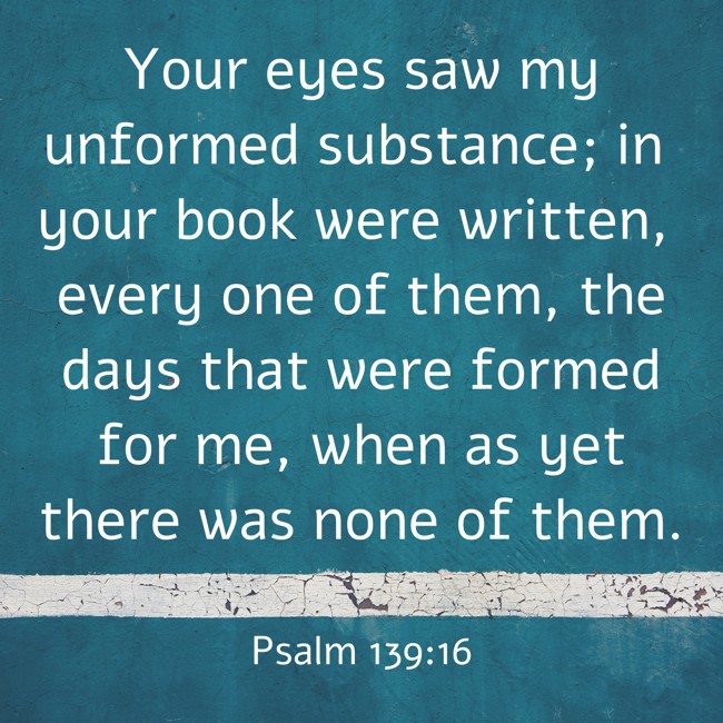 Your eyes saw my unformed substance; in your book were written, every one of them, the days that were formed for me, when as yet there was none of them. - Psalm 139:16