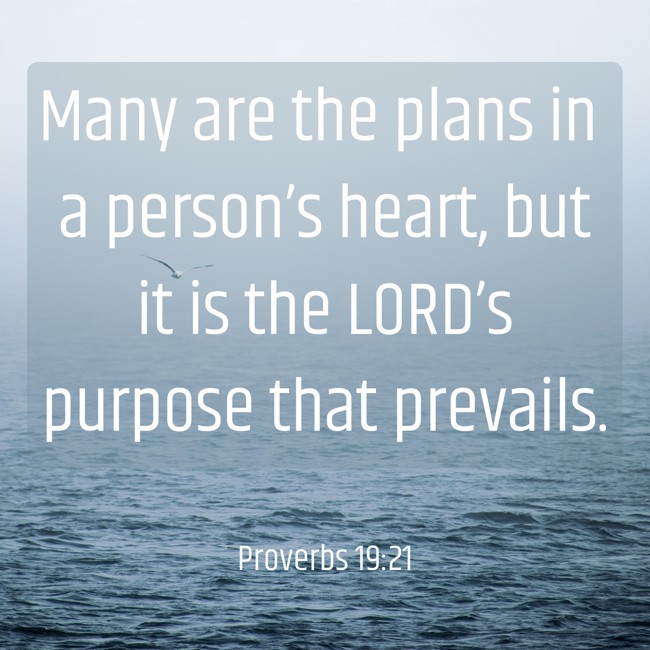 Many are the plans in a person’s heart, but it is the LORD’s purpose that prevails. - Proverbs 19:21