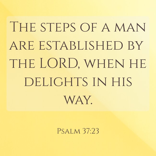 The steps of a man are established by the LORD, when he delights in his way. - Psalm 37:23