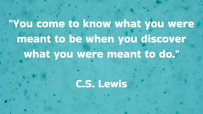 You come to know what you were meant to be when you discover what you were meant to do. - C.S. Lewis