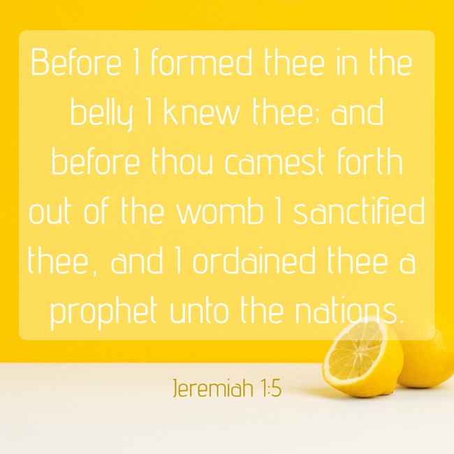 Before I formed thee in the belly I knew thee; and before thou camest forth out of the womb I sanctified thee, and I ordained thee a prophet unto the nations. - Jeremiah 1:5
