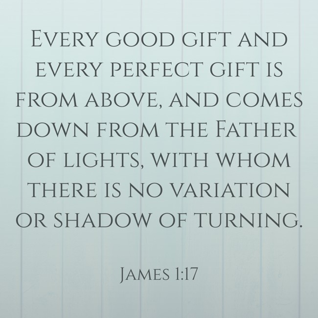 Every good gift and every perfect gift is from above, and comes down from the Father of lights, with whom there is no variation or shadow of turning. - James 1:17