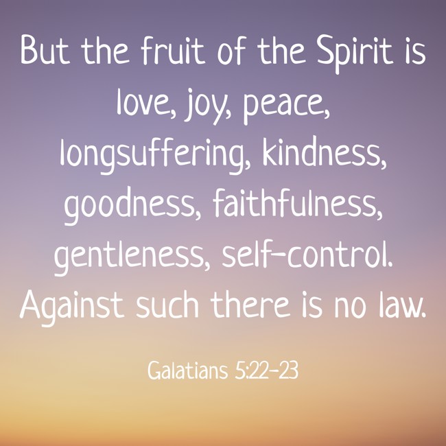 But the fruit of the Spirit is love, joy, peace, longsuffering, kindness, goodness, faithfulness, gentleness, self-control. Against such there is no law. - Galatians 5:22-23