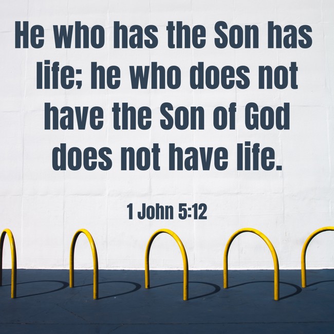 He who has the Son has life; he who does not have the Son of God does not have life. - 1 John 5:12