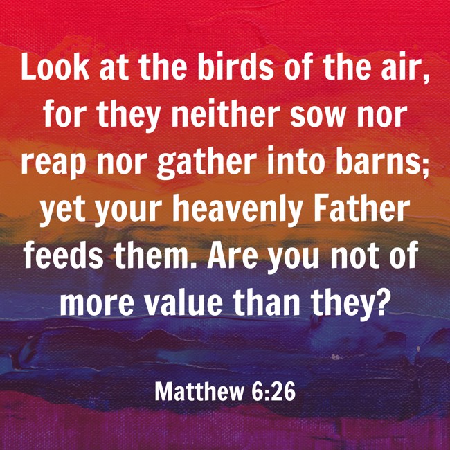 Look at the birds of the air, for they neither sow nor reap nor gather into barns; yet your heavenly Father feeds them. Are you not of more value than they? - Matthew 6:26