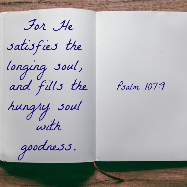 For He satisfies the longing soul, and fills the hungry soul with goodness. - Psalm 107:9