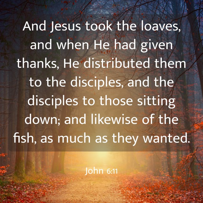 And Jesus took the loaves, and when He had given thanks, He distributed them to the disciples, and the disciples to those sitting down; and likewise of the fish, as much as they wanted. - John 6:11