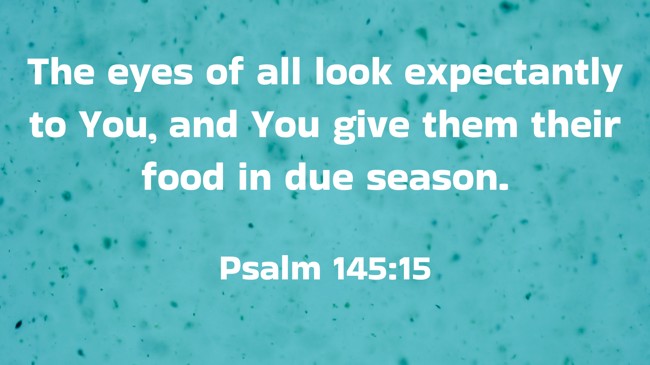 The eyes of all look expectantly to You, and You give them their food in due season. - Psalm 145:15