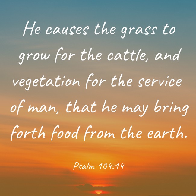 He causes the grass to grow for the cattle, and vegetation for the service of man, that he may bring forth food from the earth. - Psalm 104:14