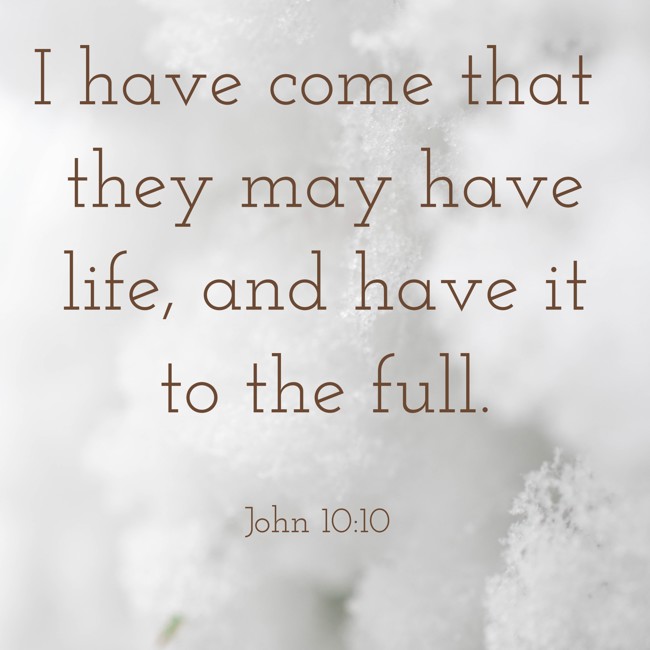 I have come that they may have life, and have it to the full. - John 10:10