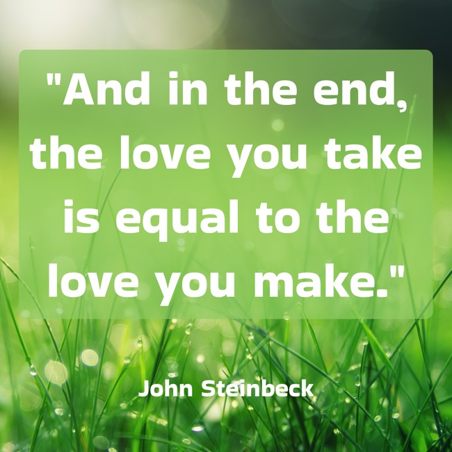 And in the end, the love you take is equal to the love you make. - John Steinbeck