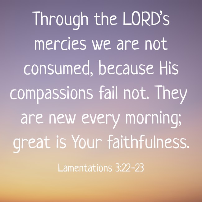 Through the LORD’s mercies we are not consumed, because His compassions fail not. They are new every morning; great is Your faithfulness. - Lamentations 3:22-23