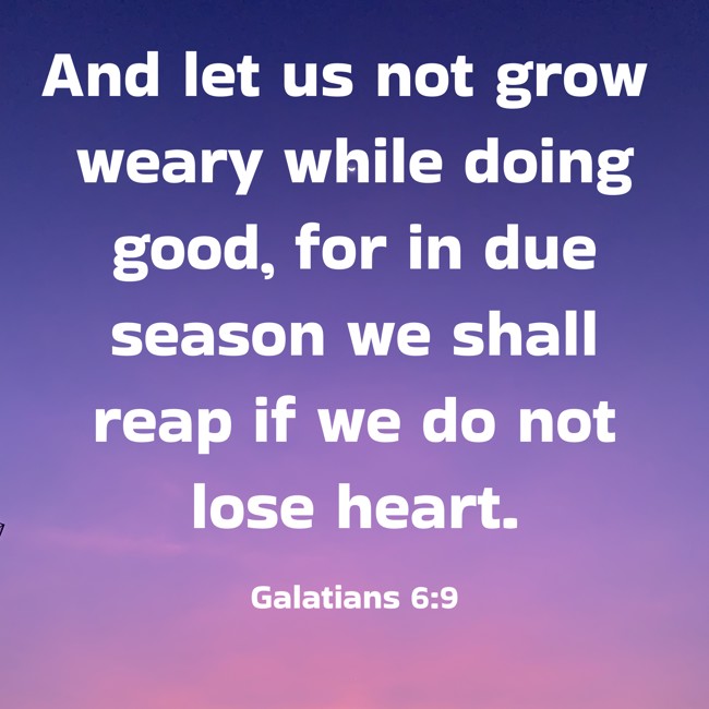And let us not grow weary while doing good, for in due season we shall reap if we do not lose heart. - Galatians 6:9