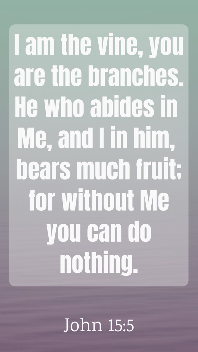 I am the vine, you are the branches. He who abides in Me, and I in him, bears much fruit; for without Me you can do nothing. - John 15:5
