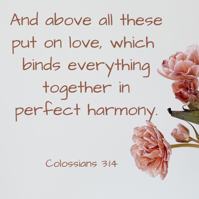 And above all these put on love, which binds everything together in perfect harmony. - Colossians 3:14