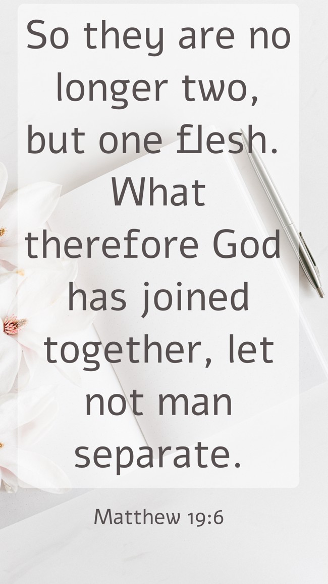 So they are no longer two, but one flesh. What therefore God has joined together, let not man separate. - Matthew 19:6